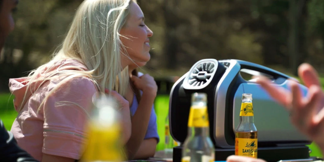 How to choose a portable air conditioner?