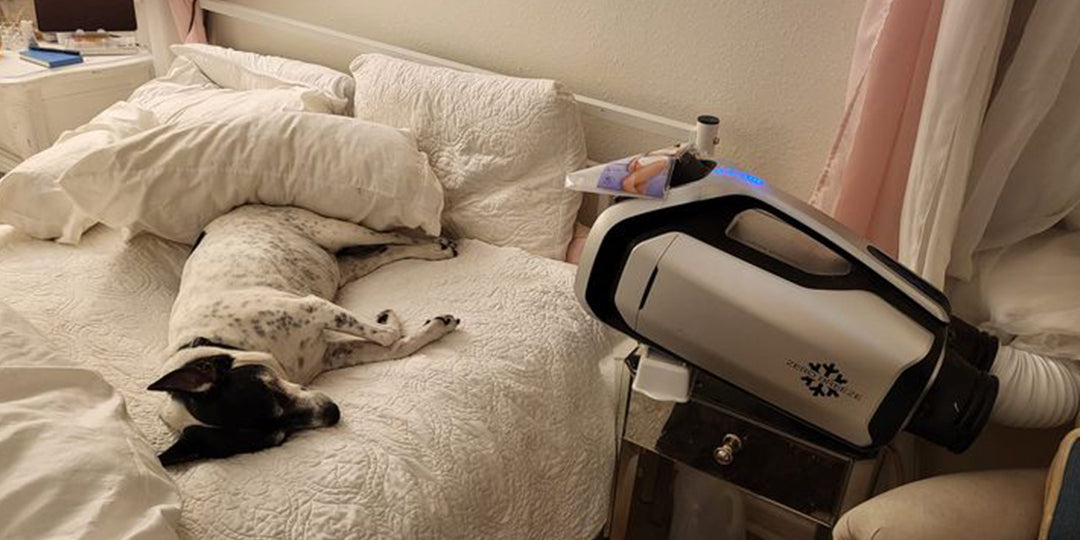 ZERO BREEZE Mark 2 Helps Hank to Fight Cushings' Disease