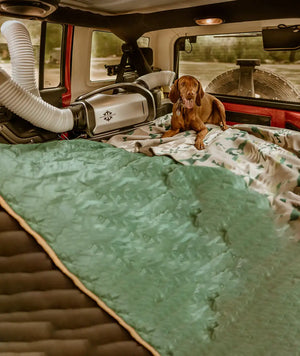 Portable air best sale conditioner for dogs